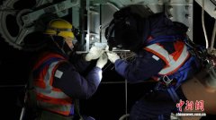 供电杆塔顶端一处鸟巢引