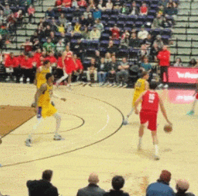 杨瀚森两战低迷难阻南湾湖人连胜，马利克-威廉